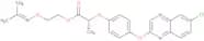 (R)-2-(Propan-2-ylideneaMinooxy)ethyl 2-(4-(6-chloroquinoxalin-2