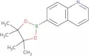 Quinoline-6-boronic acid, pinacol ester