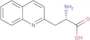 3-(2'-Quinolyl)-L-alanine