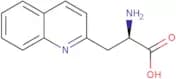 3-(2'-Quinolyl)-D-alanine