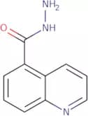 Quinoline-5-carboxylic acid hydrazide