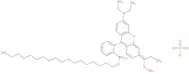 cRhodamine B octadecyl ester perchlorate