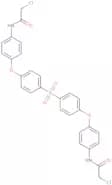 N,N'-[Sulfonylbis(4,1-phenyleneoxy-4,1-phenylene)]bis(2-chloroacetamide)