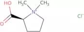 Stachydrine hydrochloride