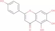 Scutellarein