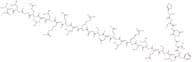 Secretin, rat