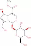 Scandoside methyl ester