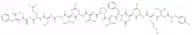 Tyr-α-CGRP (23-37) (mouse, rat)