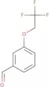 3-(2,2,2-Trifluoroethoxy)benzaldehyde