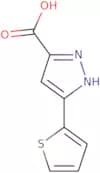 3-(2-Thienyl)-1H-pyrazole-5-carboxylic acid