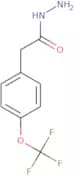 2-[4-(Trifluoromethoxy)phenyl]acetohydrazide
