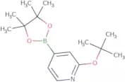 2-t-Butoxypyridine-4-boronic acid pinacol ester