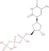 Thymidine-5'-triphosphoric Acid
