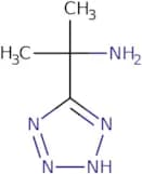 2-(1H-1,2,3,4-Tetrazol-5-yl)propan-2-amine