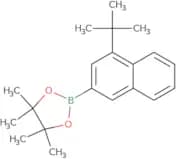 2-(4-(Tert-butyl)naphthalen-2-yl)-4,4,5,5-tetramethyl-1,3,2-dioxaborolane