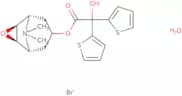 Tiotropium bromide monohydrate