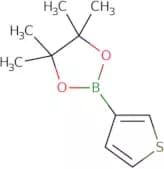 3-ThiopheneboRonic acid pinacol esteR