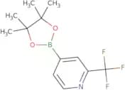 2-Trifluoromethylpyridine-4-boronic acid pinacol ester