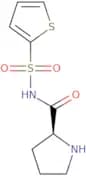 N-(2-Thiophenesulfonyl)-L-prolinamide