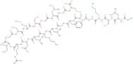C-Type Natriuretic Peptide (1-22), human