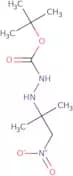 tert-Butyl 2-(2-methyl-1-nitropropan-2-yl)hydrazinecarboxylate