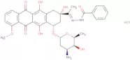 Zorubicin hydrochloride