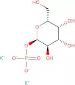 α-D-Galactose 1-phosphate, dipotassium salt pentahydrate