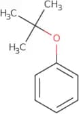 tert-Butoxybenzene