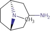 exo-8-Methyl-azabicyclo[3.2.1]octan-3-amine