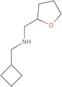 (Cyclobutylmethyl)(tetrahydrofuran-2-ylmethyl)amine