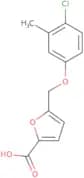5-(4-Chloro-3-methylphenoxymethyl)furan-2-carboxylic acid