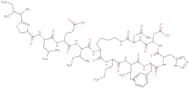 Bacitracin B1