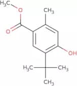 Methyl 5-(tert-butyl)-4-hydroxy-2-methylbenzoate