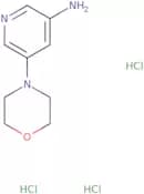5-Morpholinopyridin-3-amine trihydrochloride