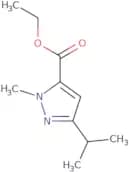 ethyl 3-isopropyl-1-methyl-1H-pyrazole-5-carboxylate
