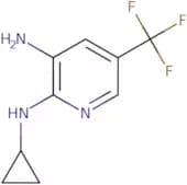 N2-Cyclopropyl-5-(trifluoromethyl)pyridine-2,3-diamine