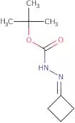 Hydrazinecarboxylic acid, cyclobutylidene-, 1,1-dimethylethyl ester