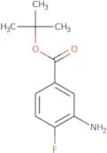 tert-Butyl 3-amino-4-fluorobenzoate