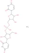 Urate oxidase (from Yeast)