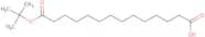 tert-Butyl Hydrogen Tetradecanedioate