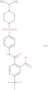 Rn 9893 hydrochloride