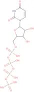 Uridine 5-tetraphosphate