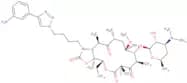Solithromycin