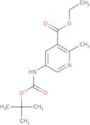 Amitifadine