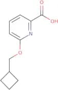 6-(Cyclobutylmethoxy)pyridine-2-carboxylic acid