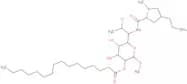 Clindamycin palmitate hydrochloride