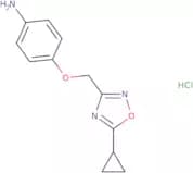 4-[(5-Cyclopropyl-1,2,4-oxadiazol-3-yl)methoxy]aniline hydrochloride