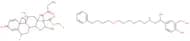 Salmeterol fluticasone propionate