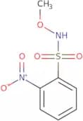 N-Methoxy-2-nitrobenzenesulfonamide