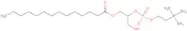 1-Myristoyl-rac-glycero-2-phosphocholine